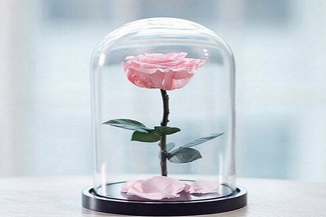 Магическая защита от нападок на работе